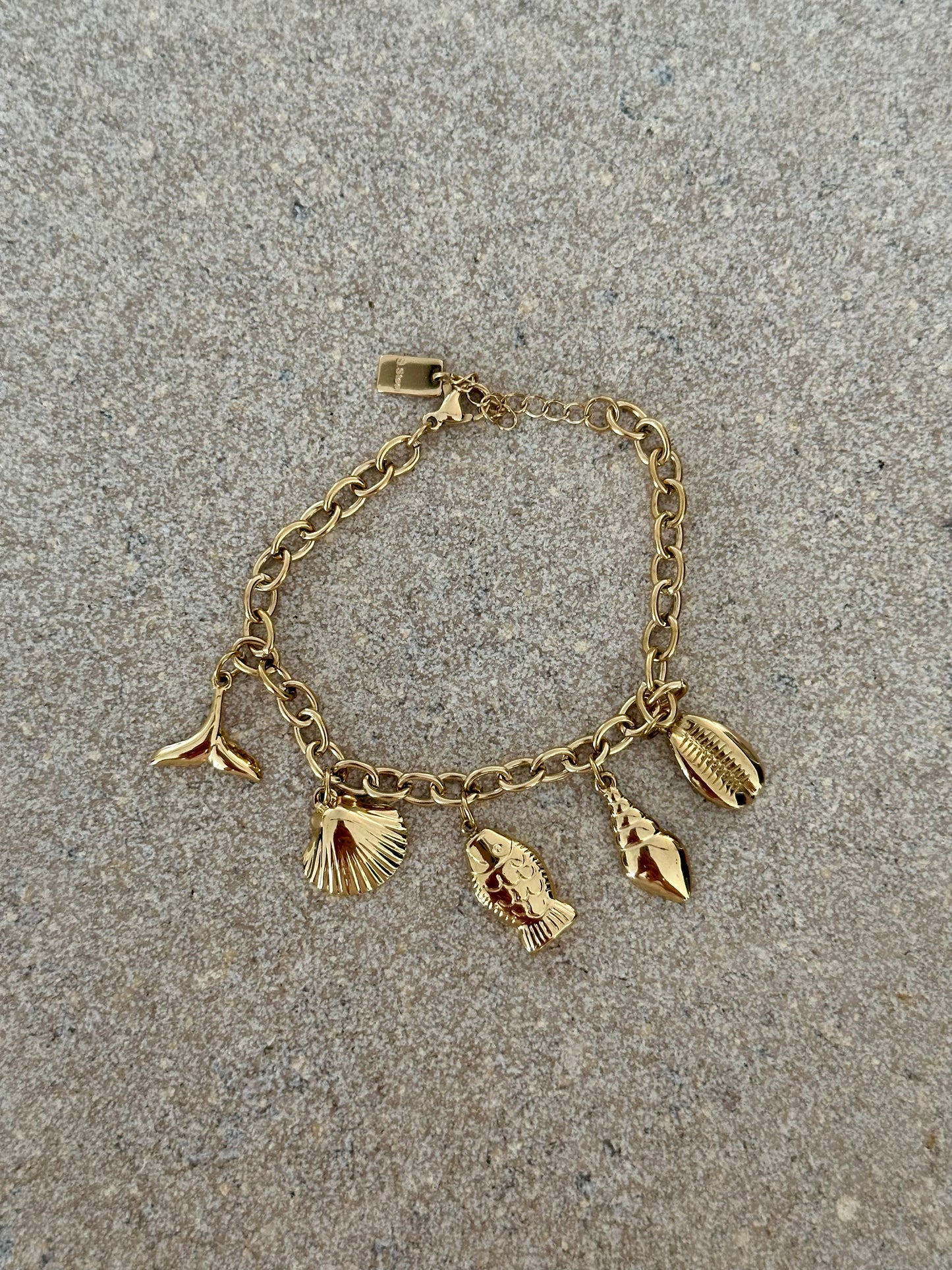 Vissen armband
