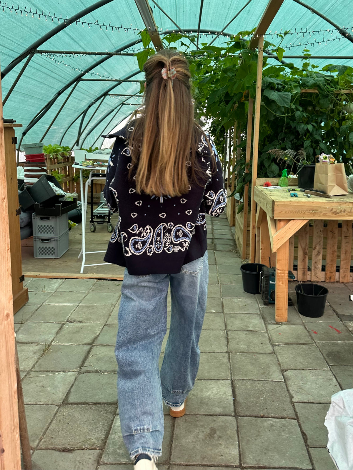 Jeans - Queen