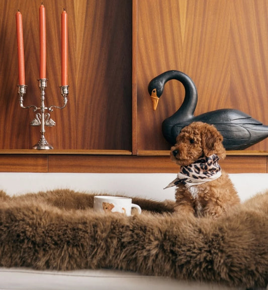 Anna + Nina - Labradoodle Tea Mug
