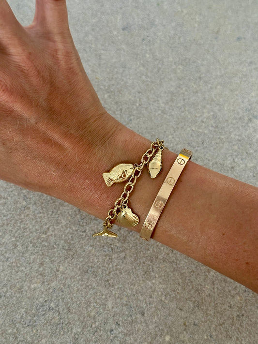 Bedelarmband Zee