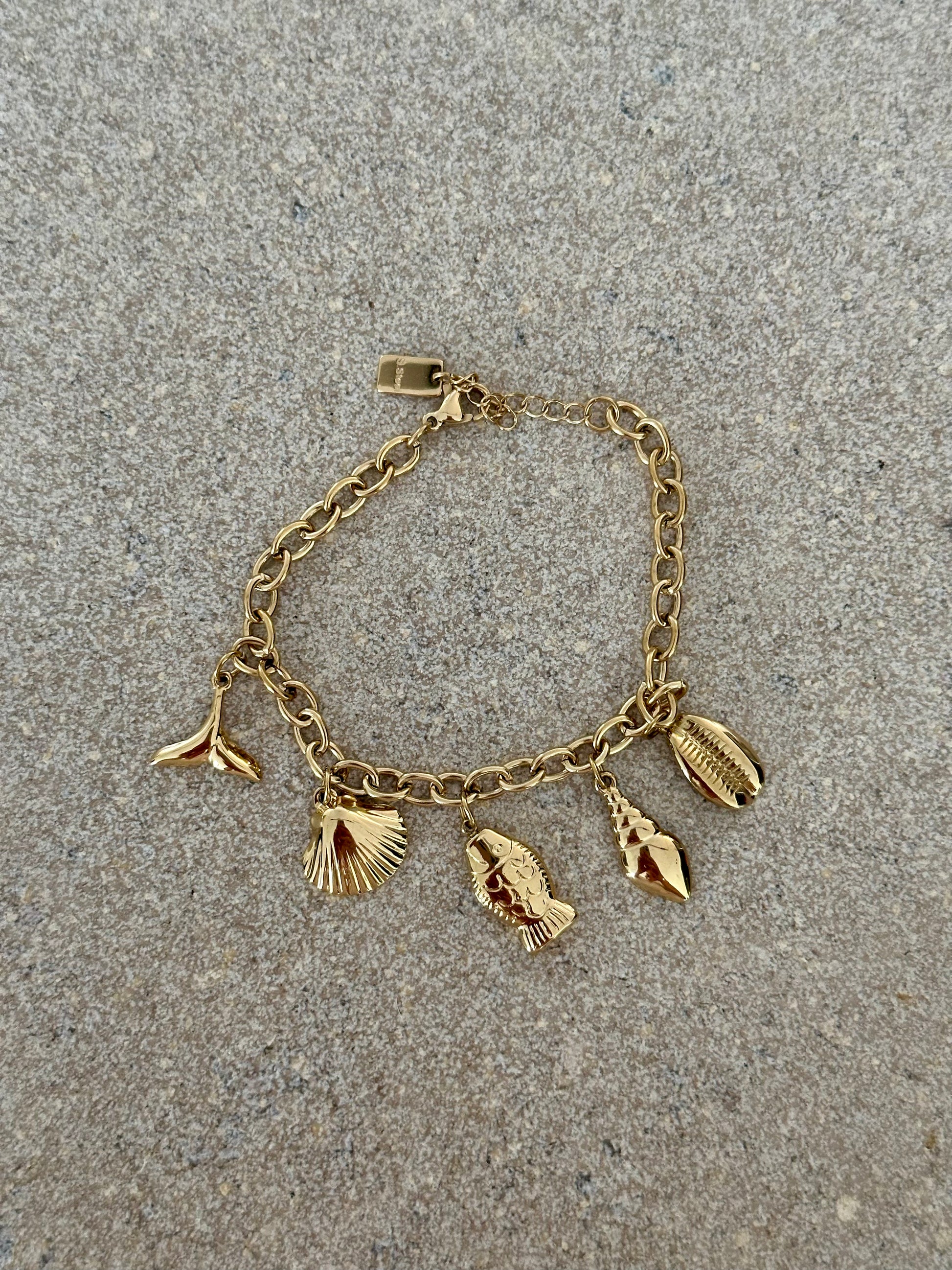 Vissen armband 