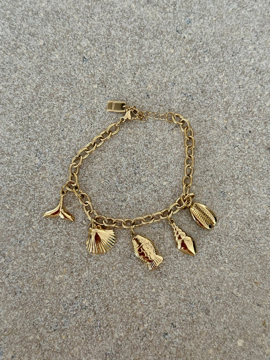 Vissen armband 